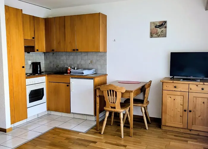 Appartement Centre Thermal Nord Ev203 Leytron